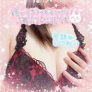 ヒメ日記 2025/03/23 09:27 投稿 めいさ One More 奥様　五反田店