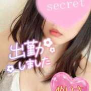 ヒメ日記 2025/03/25 20:17 投稿 めいさ One More 奥様　五反田店