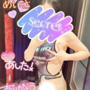 ヒメ日記 2025/03/27 13:40 投稿 めいさ One More 奥様　五反田店