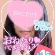 ヒメ日記 2025/03/30 14:37 投稿 めいさ One More 奥様　五反田店