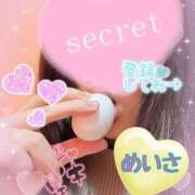 ヒメ日記 2025/04/02 00:07 投稿 めいさ One More 奥様　五反田店