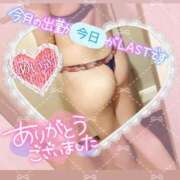 ヒメ日記 2025/04/26 09:17 投稿 めいさ One More 奥様　五反田店