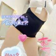 ヒメ日記 2025/05/29 11:57 投稿 めいさ One More 奥様　五反田店