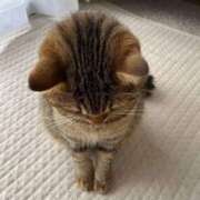 ヒメ日記 2025/07/25 00:37 投稿 めいさ One More 奥様　五反田店