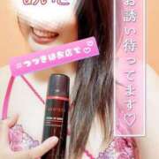 ヒメ日記 2025/08/05 18:02 投稿 めいさ One More 奥様　五反田店