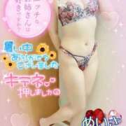 ヒメ日記 2025/08/31 19:07 投稿 めいさ One More 奥様　五反田店