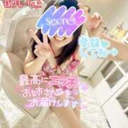 ヒメ日記 2025/09/06 16:27 投稿 めいさ One More 奥様　五反田店
