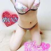 ヒメ日記 2025/09/23 20:17 投稿 めいさ One More 奥様　五反田店