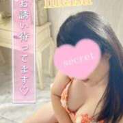 ヒメ日記 2025/09/25 18:01 投稿 めいさ One More 奥様　五反田店