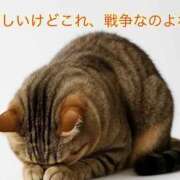 ヒメ日記 2025/10/15 15:47 投稿 めいさ One More 奥様　五反田店