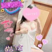 ヒメ日記 2025/12/13 12:18 投稿 めいさ One More 奥様　五反田店