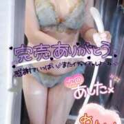 ヒメ日記 2026/01/22 09:07 投稿 めいさ One More 奥様　五反田店