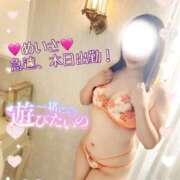 めいさ 🚨本日急遽20時っ One More 奥様　五反田店