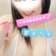 ヒメ日記 2026/03/08 01:37 投稿 めいさ One More 奥様　五反田店