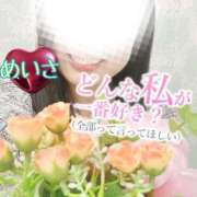 ヒメ日記 2026/04/13 17:48 投稿 めいさ One More 奥様　五反田店