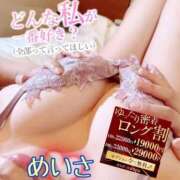 ヒメ日記 2026/04/18 12:17 投稿 めいさ One More 奥様　五反田店