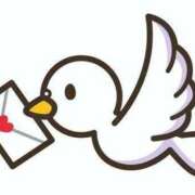 ヒメ日記 2025/05/24 20:00 投稿 きき 熊本しこたまクリニック