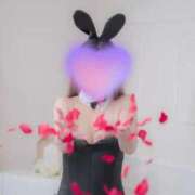 ヒメ日記 2025/08/26 21:50 投稿 きき 熊本しこたまクリニック