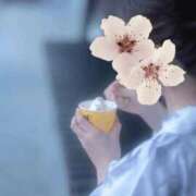 ヒメ日記 2025/09/01 13:30 投稿 きき 熊本しこたまクリニック