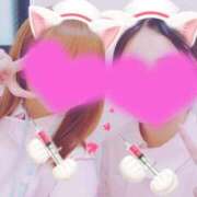 ヒメ日記 2025/09/03 17:20 投稿 きき 熊本しこたまクリニック