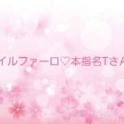 ヒメ日記 2025/04/09 17:03 投稿 ちひろ奥様 金沢の20代30代40代50代が集う人妻倶楽部