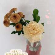 ヒメ日記 2025/03/08 15:20 投稿 さら 東京メンズボディクリニック TMBC 立川店