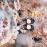 ヒメ日記 2025/04/02 16:42 投稿 ゆき 川越ぽちゃまに