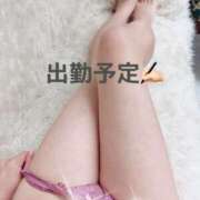 ヒメ日記 2026/03/13 18:00 投稿 かれん 東京人妻セレブリティ（ユメオト）