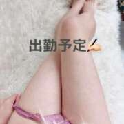 ヒメ日記 2026/03/20 17:00 投稿 かれん 東京人妻セレブリティ（ユメオト）