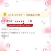 ヒメ日記 2026/05/27 10:01 投稿 かれん 東京人妻セレブリティ（ユメオト）