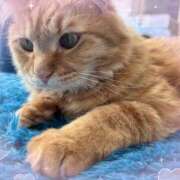 まゆゆ まゆゆです🎀 池袋あられ