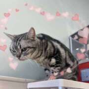 まゆゆ まゆゆです🎀 池袋あられ