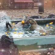 ヒメ日記 2025/12/23 16:13 投稿 まゆゆ 池袋あられ