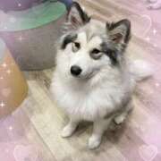 ヒメ日記 2025/05/18 15:25 投稿 みら 池袋あられ