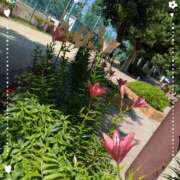 みら みらです♡ 池袋あられ