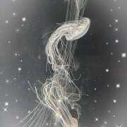 みら みらでーす！🫶 池袋あられ