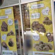 しのぶ 足立区生物園ってご存知ですか？ 上野デリヘル倶楽部