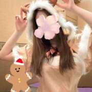 ヒメ日記 2024/12/20 13:24 投稿 かぐや 和楽(わらく)