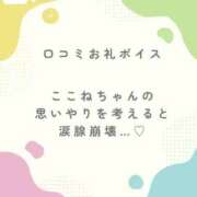 ヒメ日記 2025/07/14 21:14 投稿 花翠ここね ルーブル