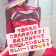 ヒメ日記 2025/09/11 14:24 投稿 花翠ここね ルーブル