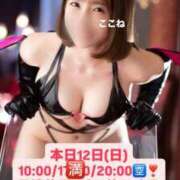 ヒメ日記 2025/10/12 09:08 投稿 花翠ここね ルーブル