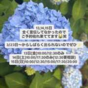 ヒメ日記 2026/03/09 16:04 投稿 花翠ここね ルーブル