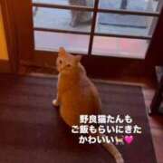 ヒメ日記 2026/03/29 21:44 投稿 花翠ここね ルーブル