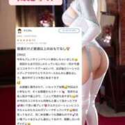 ヒメ日記 2026/04/06 19:44 投稿 花翠ここね ルーブル