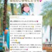 ヒメ日記 2026/04/08 17:44 投稿 花翠ここね ルーブル