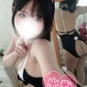 ふわり 最終日🔥 ホワイトハウス