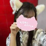 ヒメ日記 2025/11/26 18:18 投稿 せいら みつらん鉄道