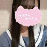 ヒメ日記 2025/11/29 00:24 投稿 せいら みつらん鉄道