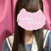 ヒメ日記 2025/12/01 01:44 投稿 せいら みつらん鉄道