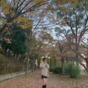 ヒメ日記 2025/12/20 15:21 投稿 ゆうみ ピンクコレクション大阪